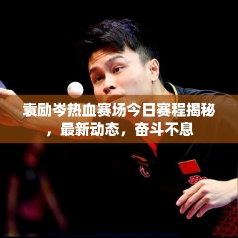 袁励岑热血赛场今日赛程揭秘，最新动态，奋斗不息