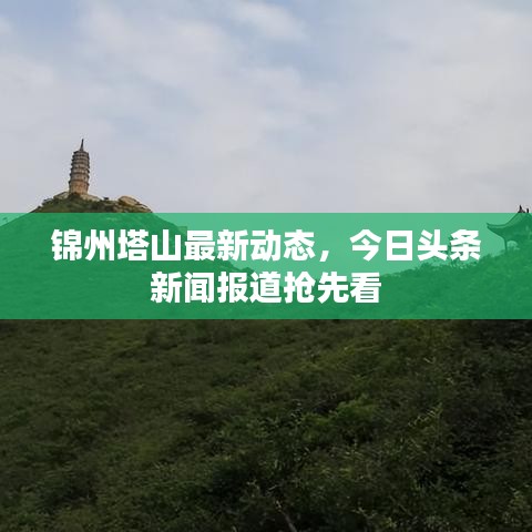 锦州塔山最新动态，今日头条新闻报道抢先看