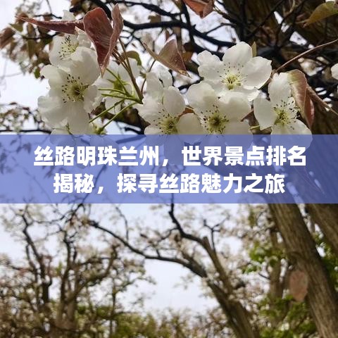 丝路明珠兰州，世界景点排名揭秘，探寻丝路魅力之旅