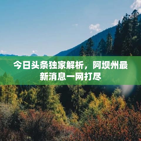 今日头条独家解析，阿坝州最新消息一网打尽