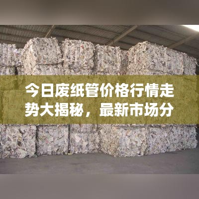 今日废纸管价格行情走势大揭秘，最新市场分析预测