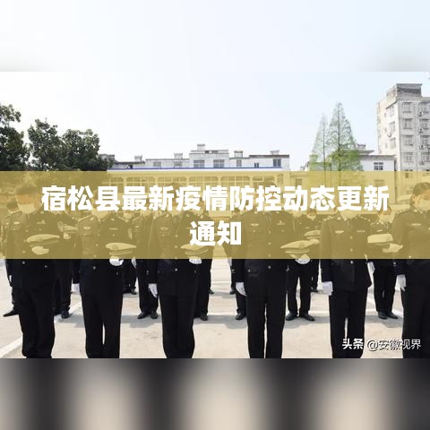 宿松县最新疫情防控动态更新通知