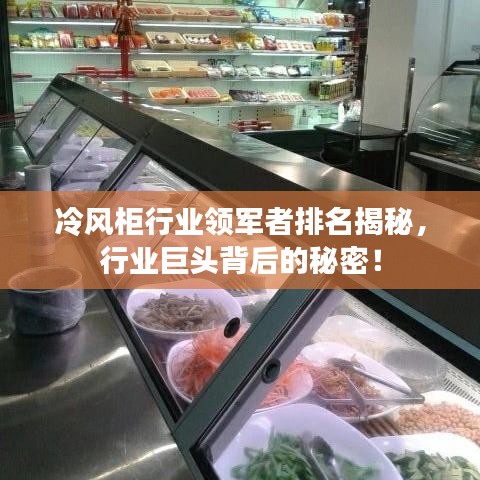 冷风柜行业领军者排名揭秘，行业巨头背后的秘密！