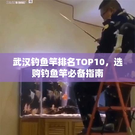 武汉钓鱼竿排名TOP10，选购钓鱼竿必备指南