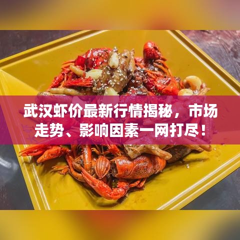 武汉虾价最新行情揭秘，市场走势、影响因素一网打尽！