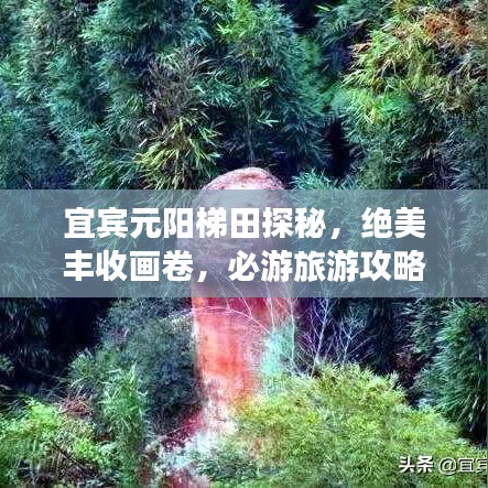 宜宾元阳梯田探秘，绝美丰收画卷，必游旅游攻略