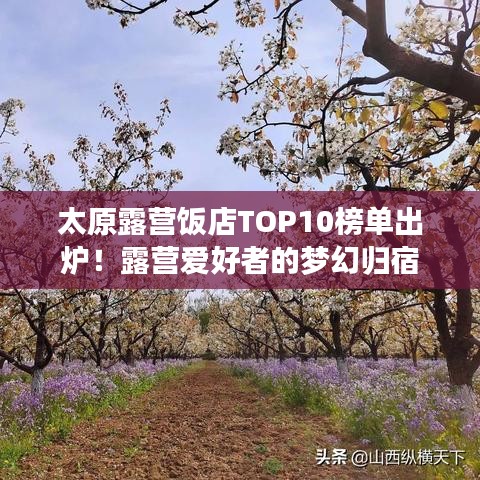 太原露营饭店TOP10榜单出炉！露营爱好者的梦幻归宿