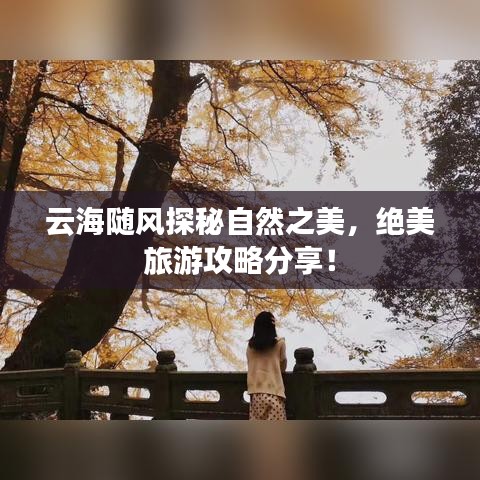 云海随风探秘自然之美，绝美旅游攻略分享！