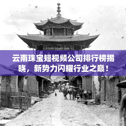 云南珠宝短视频公司排行榜揭晓，新势力闪耀行业之巅！