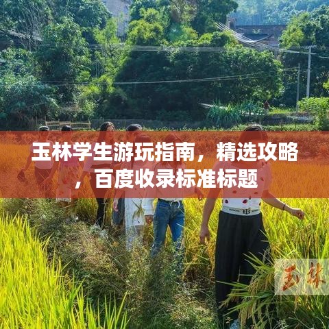 玉林学生游玩指南，精选攻略，百度收录标准标题