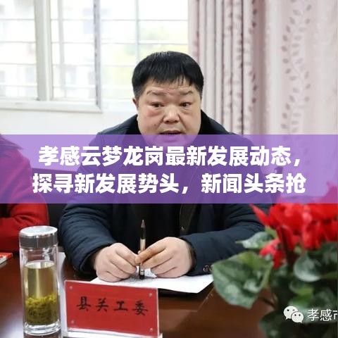 孝感云梦龙岗最新发展动态，探寻新发展势头，新闻头条抢先看