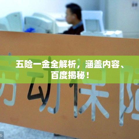 五险一金全解析，涵盖内容、百度揭秘！