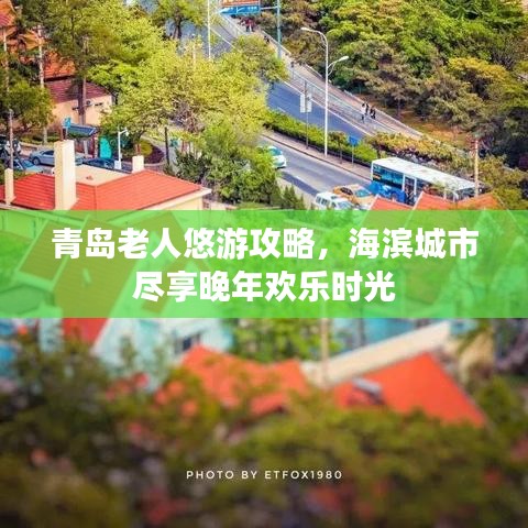 青岛老人悠游攻略，海滨城市尽享晚年欢乐时光
