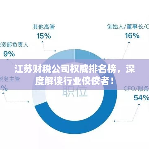 江苏财税公司权威排名榜，深度解读行业佼佼者！
