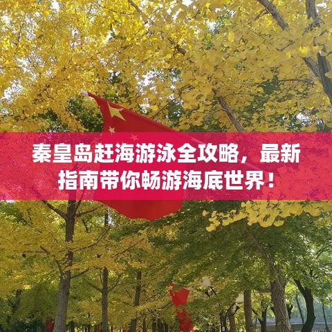 秦皇岛赶海游泳全攻略，最新指南带你畅游海底世界！