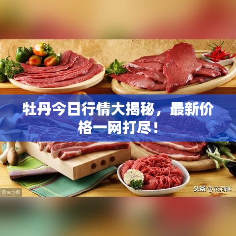 牡丹今日行情大揭秘，最新价格一网打尽！