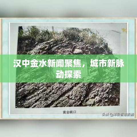汉中金水新闻聚焦，城市新脉动探索