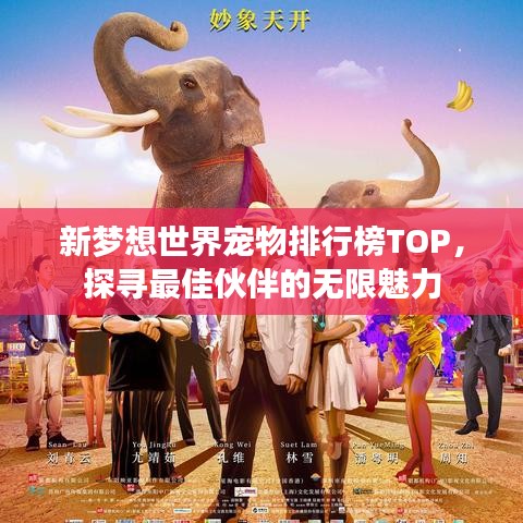 新梦想世界宠物排行榜TOP，探寻最佳伙伴的无限魅力
