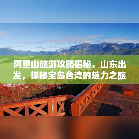 阿里山旅游攻略揭秘，山东出发，探秘宝岛台湾的魅力之旅
