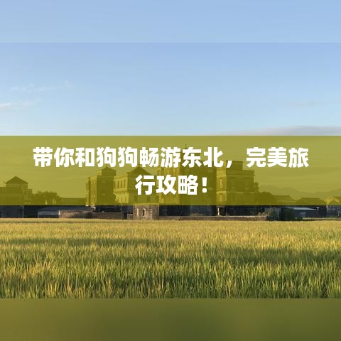 带你和狗狗畅游东北，完美旅行攻略！