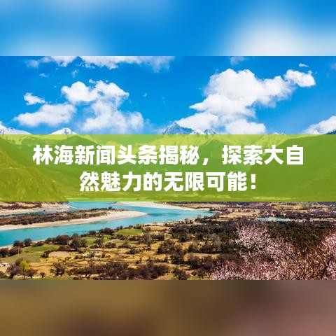 林海新闻头条揭秘，探索大自然魅力的无限可能！