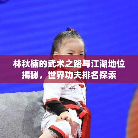 林秋楠的武术之路与江湖地位揭秘，世界功夫排名探索