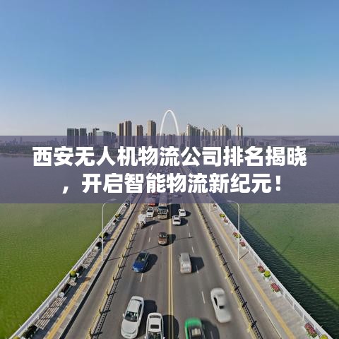 西安无人机物流公司排名揭晓，开启智能物流新纪元！