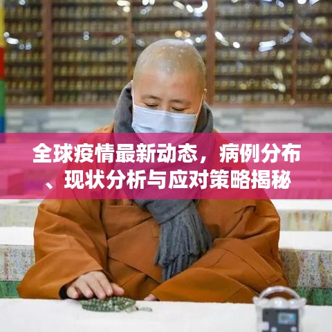 全球疫情最新动态，病例分布、现状分析与应对策略揭秘