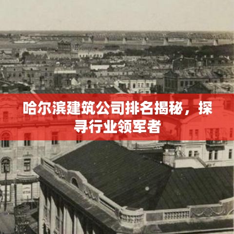哈尔滨建筑公司排名揭秘，探寻行业领军者