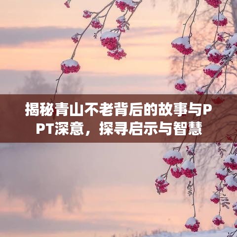揭秘青山不老背后的故事与PPT深意，探寻启示与智慧