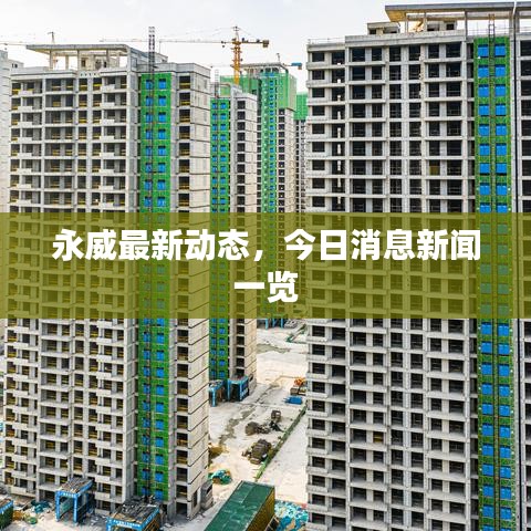 永威最新动态，今日消息新闻一览