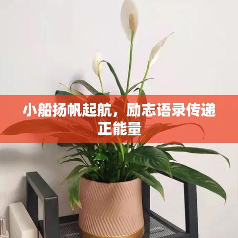 小船扬帆起航，励志语录传递正能量