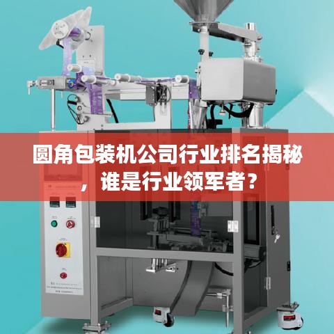 圆角包装机公司行业排名揭秘，谁是行业领军者？