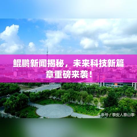 鲲鹏新闻揭秘，未来科技新篇章重磅来袭！
