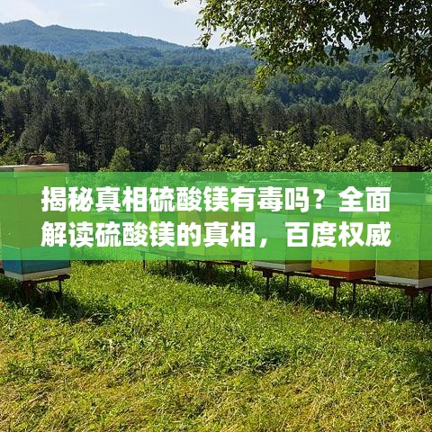 揭秘真相硫酸镁有毒吗？全面解读硫酸镁的真相，百度权威解答！