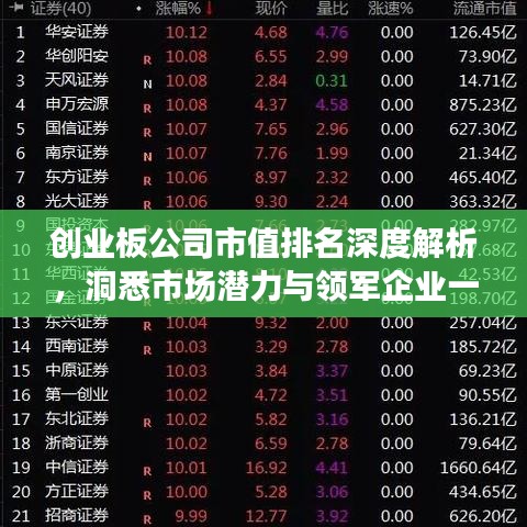 创业板公司市值排名深度解析，洞悉市场潜力与领军企业一览