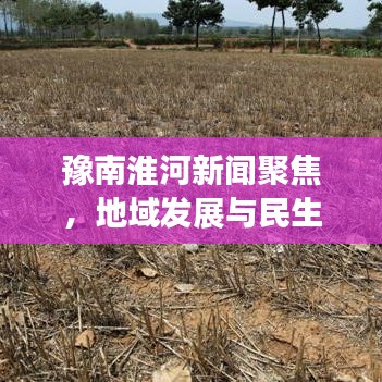 豫南淮河新闻聚焦，地域发展与民生改善的最新动态
