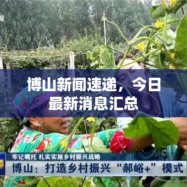 博山新闻速递，今日最新消息汇总