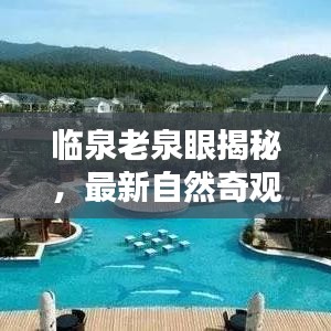 临泉老泉眼揭秘，最新自然奇观惊艳拍摄！