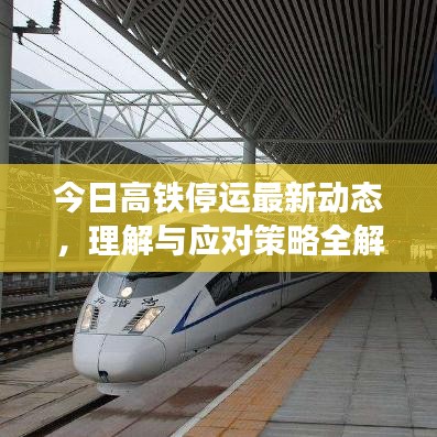 今日高铁停运最新动态，理解与应对策略全解析