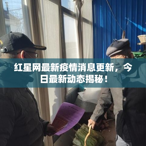 红星网最新疫情消息更新，今日最新动态揭秘！