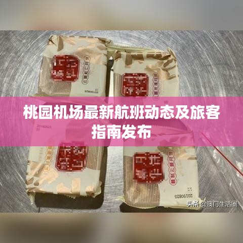 桃园机场最新航班动态及旅客指南发布