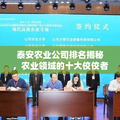 泰安农业公司排名揭秘，农业领域的十大佼佼者榜单
