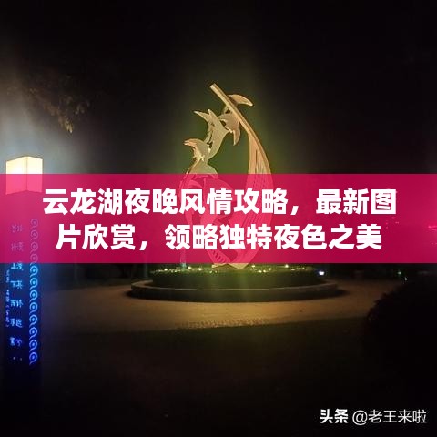 云龙湖夜晚风情攻略，最新图片欣赏，领略独特夜色之美
