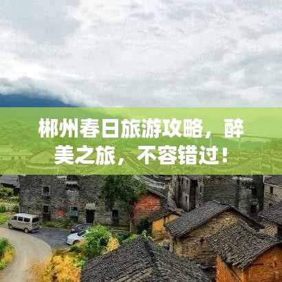 郴州春日旅游攻略，醉美之旅，不容错过！