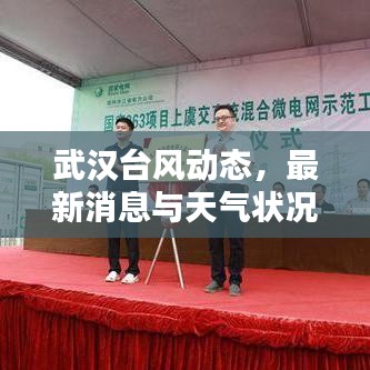 武汉台风动态，最新消息与天气状况更新