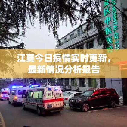 江夏今日疫情实时更新，最新情况分析报告