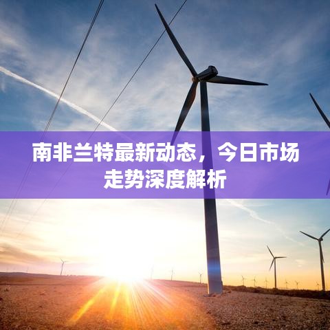 南非兰特最新动态，今日市场走势深度解析