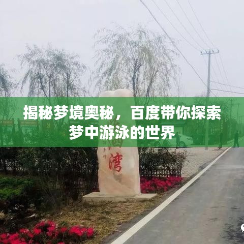 揭秘梦境奥秘，百度带你探索梦中游泳的世界