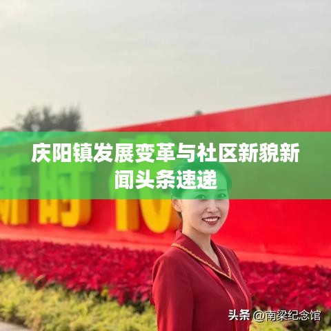 庆阳镇发展变革与社区新貌新闻头条速递